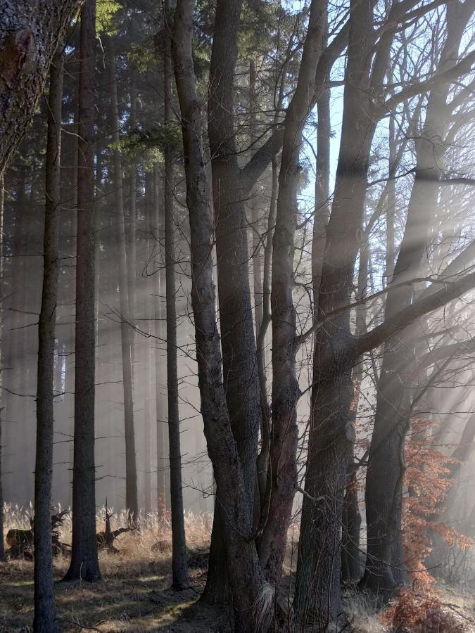Apartmány Adršpach u Kozárů Teplice nad Metují Esterno foto